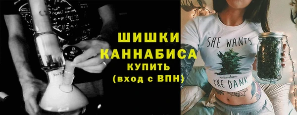 гашик Семилуки