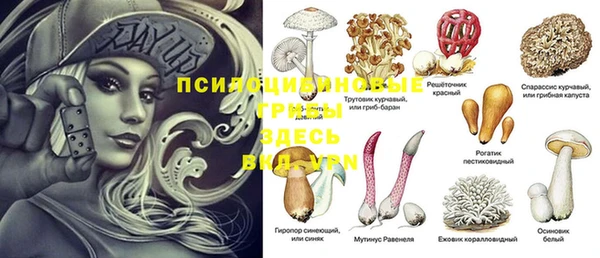гашик Семилуки