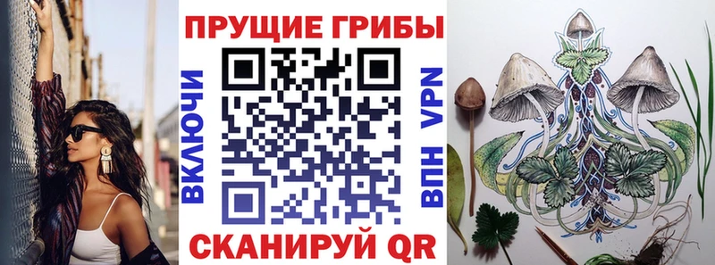 Галлюциногенные грибы мицелий  Гаврилов Посад 